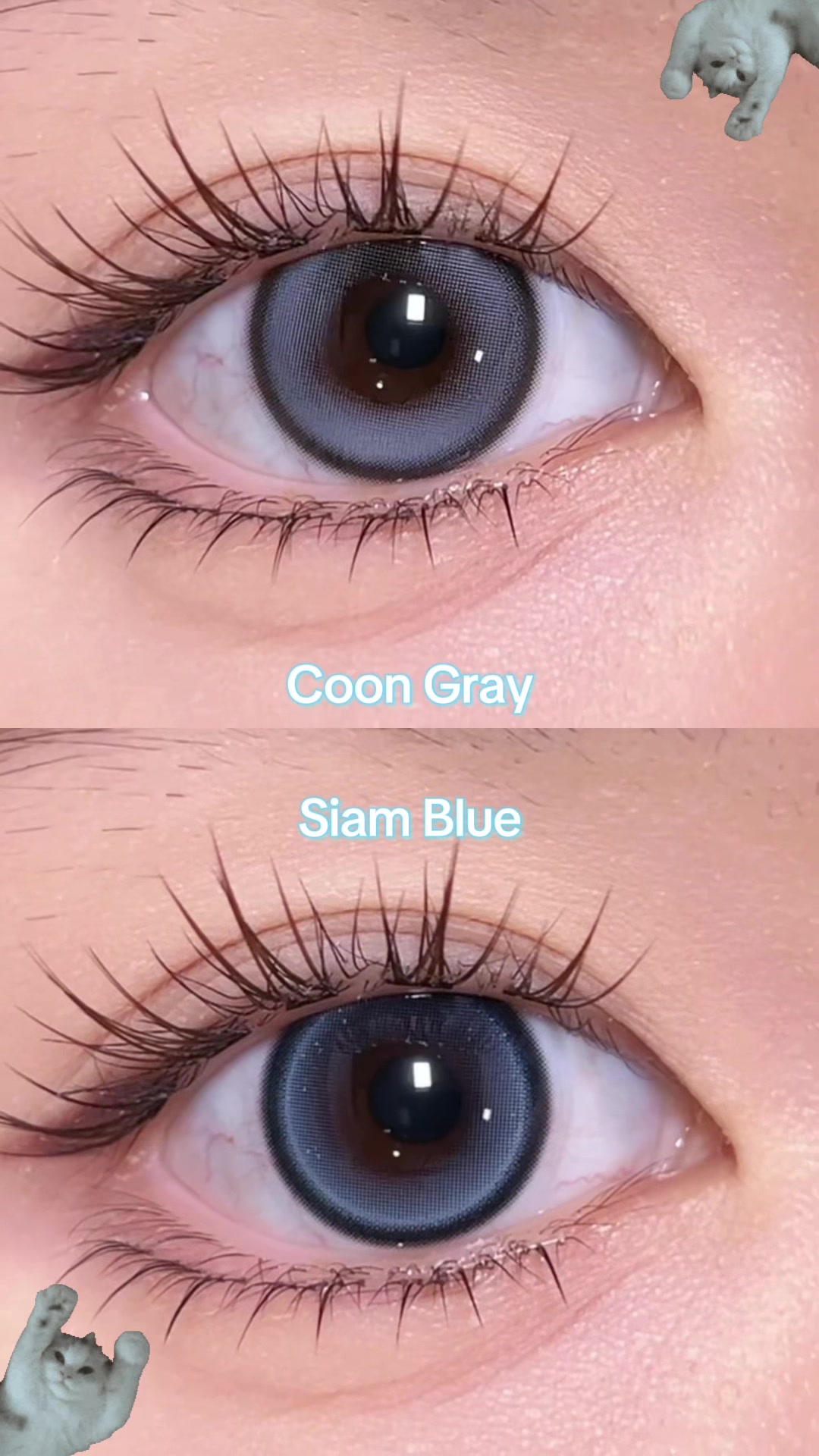 @Bae Lenses