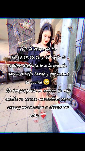 @👑⸙ᥫ᭡ϝҽɾɾҽιɾαᥫ᭡⸙👑