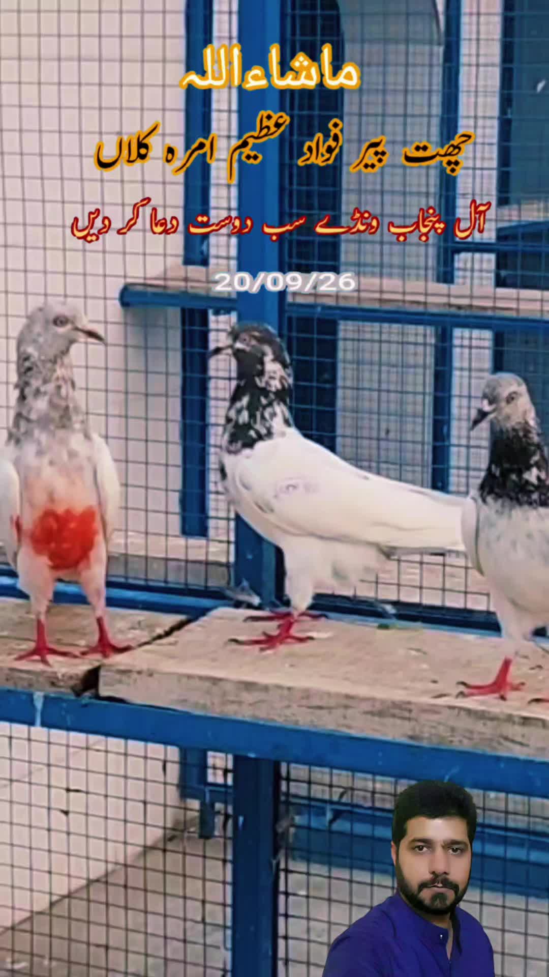 @amrakalan5
