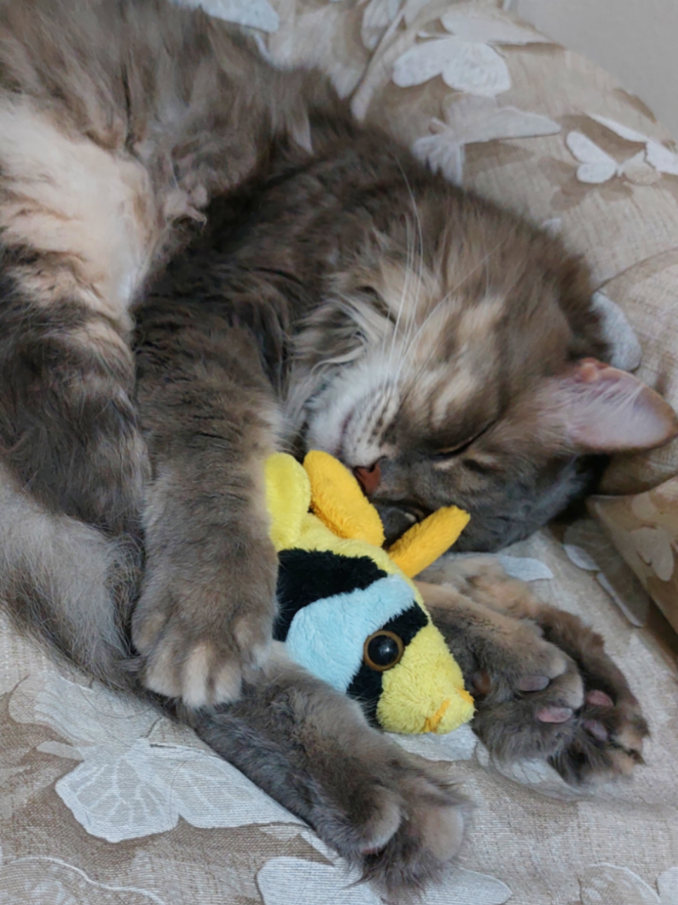 @♡_Kiko e Cicciotto_♡