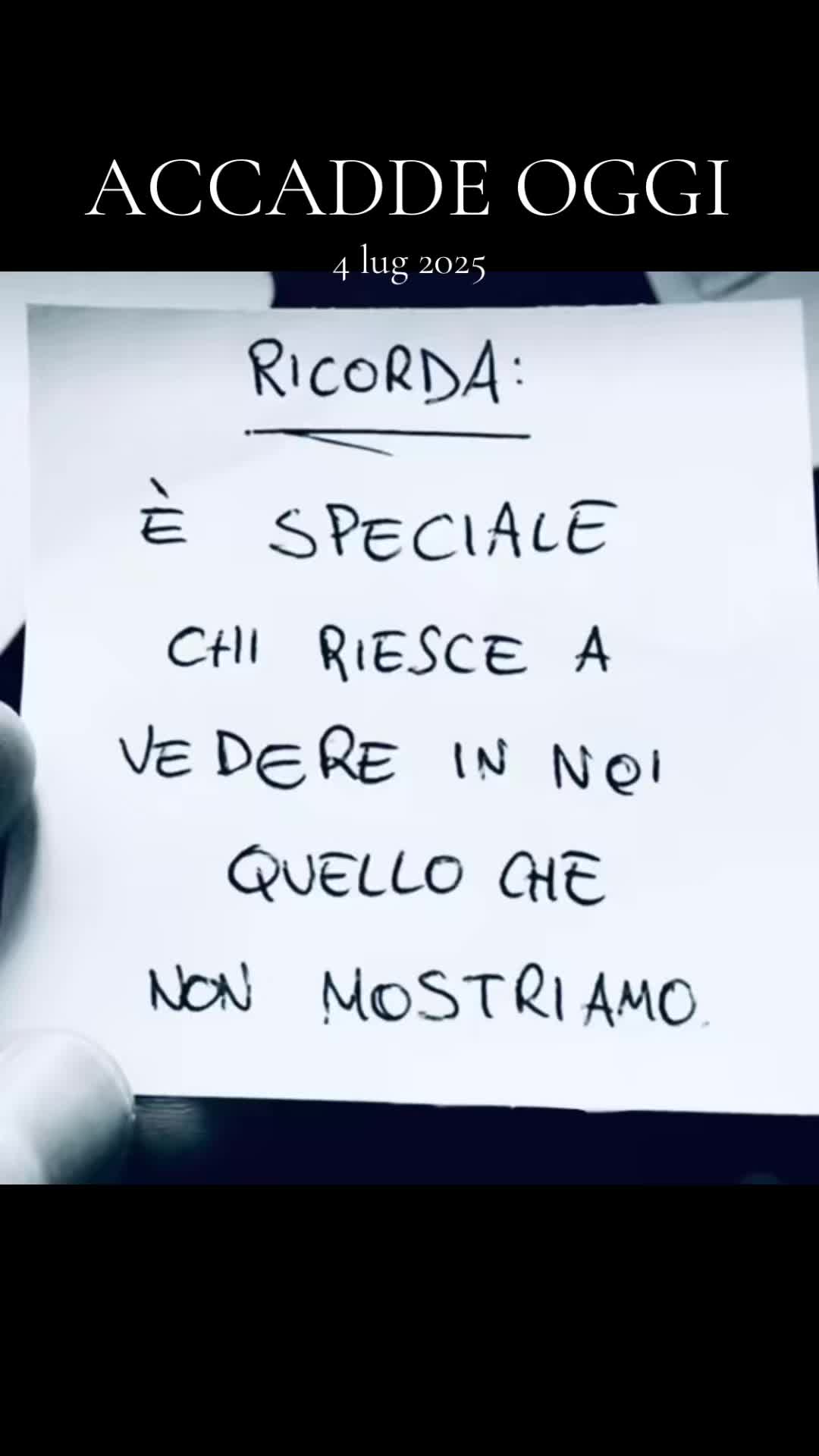 @brunopizzarelli2455