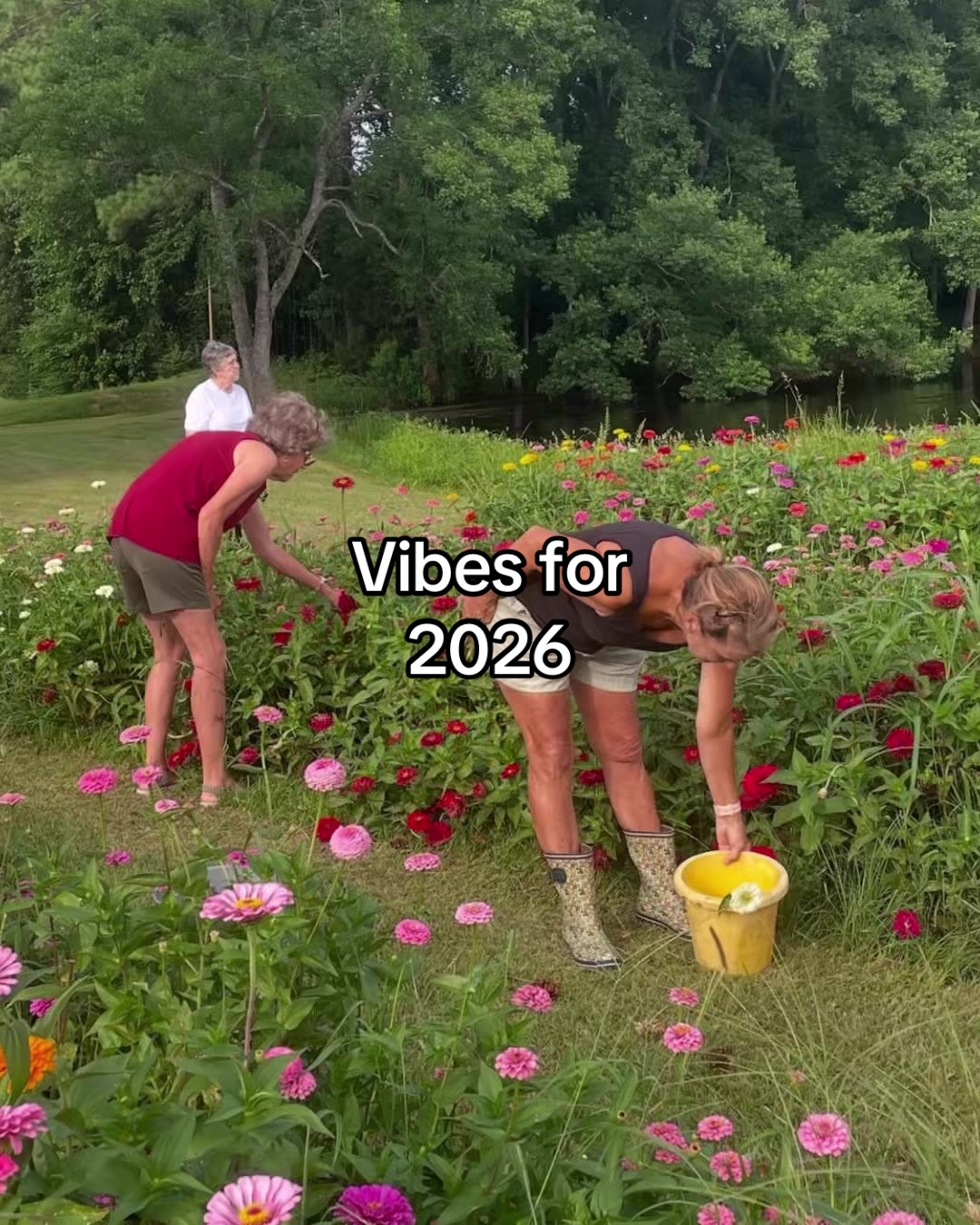 @amaliaplantstrees