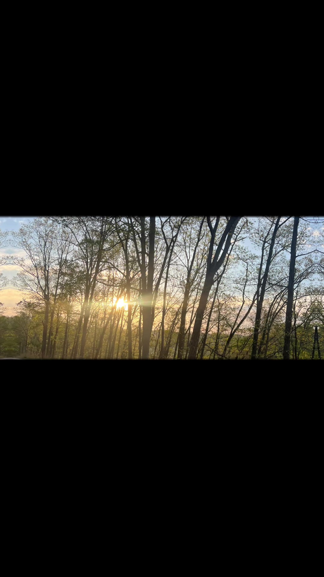 @Brandi 🌅🌄