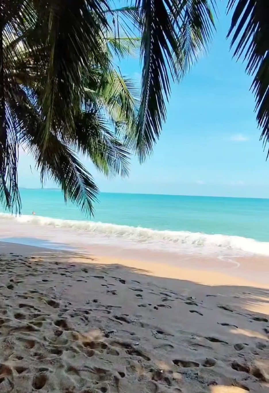 @🏝️ Magical Island Samui 🌴🍹