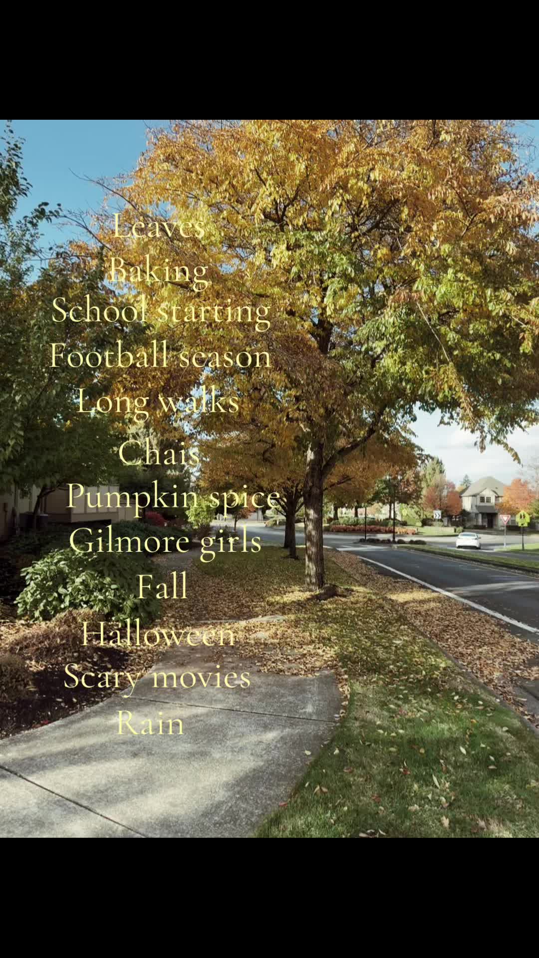 @🗽