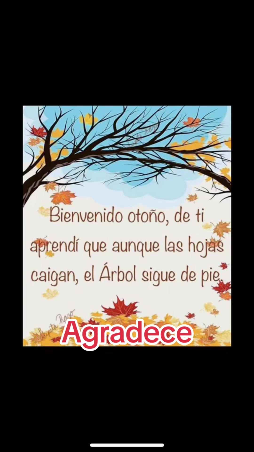 @Lourdes Suárez