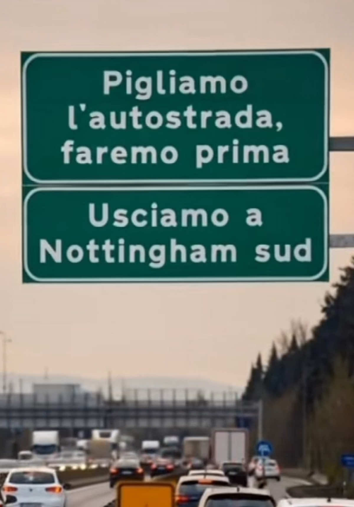 @RADIO SQUALLOR-THE SQUALLORS