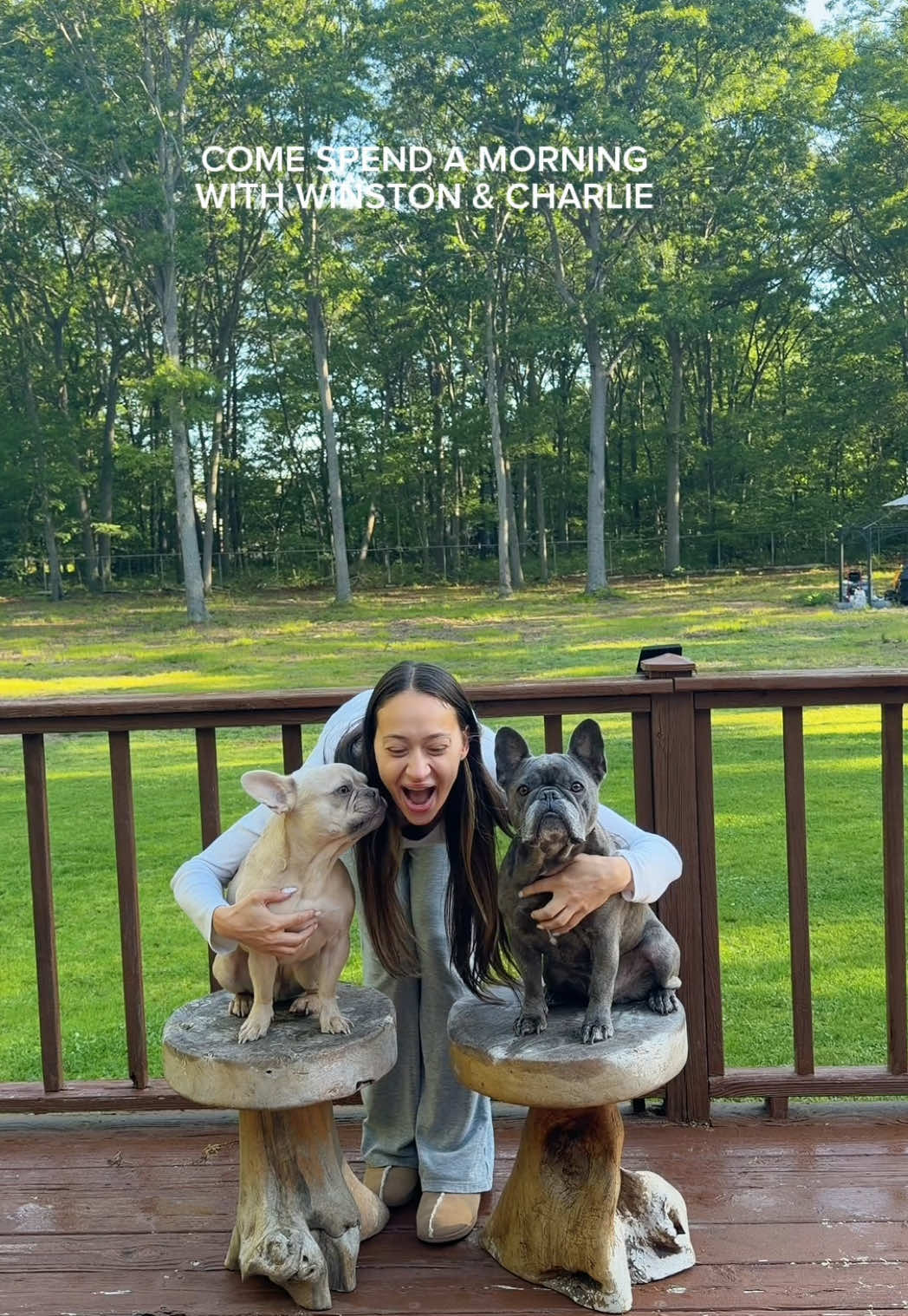 @Winston & Charlie 🐾