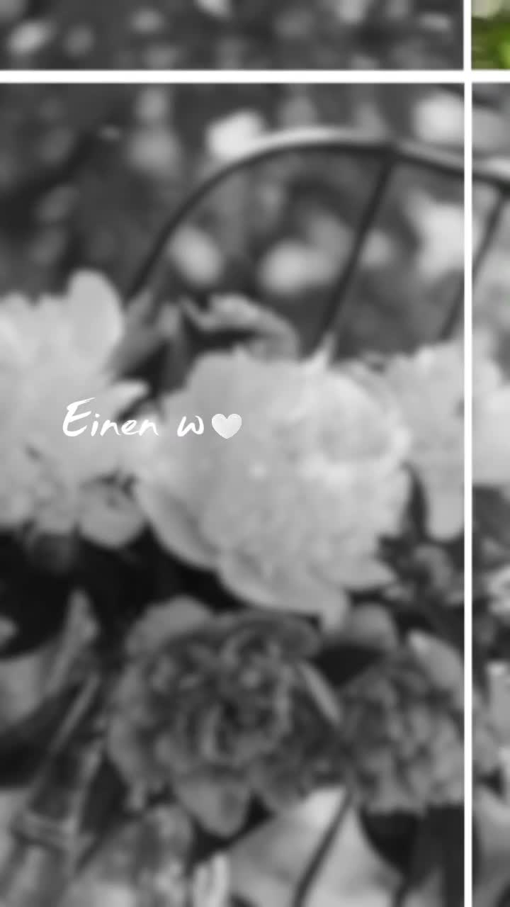 @🖤🤍💎 Rose 💎🤍🖤