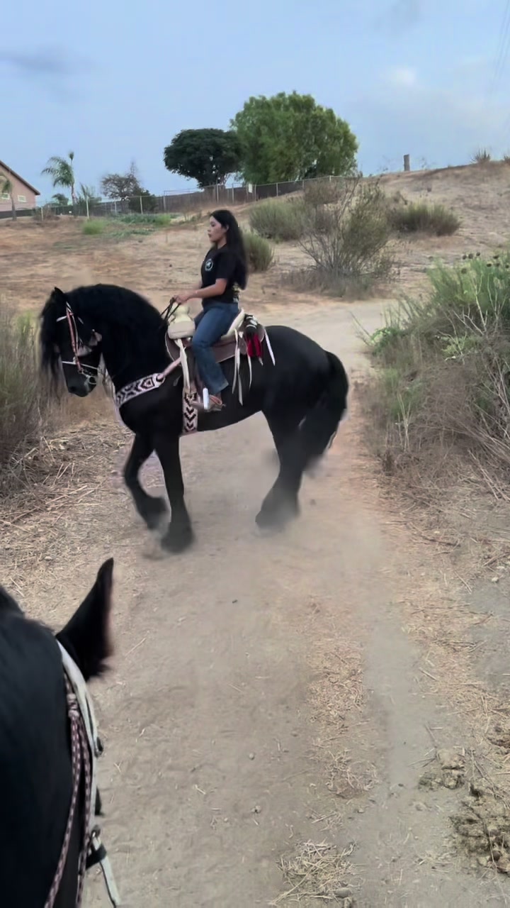 @anissadeacaballo