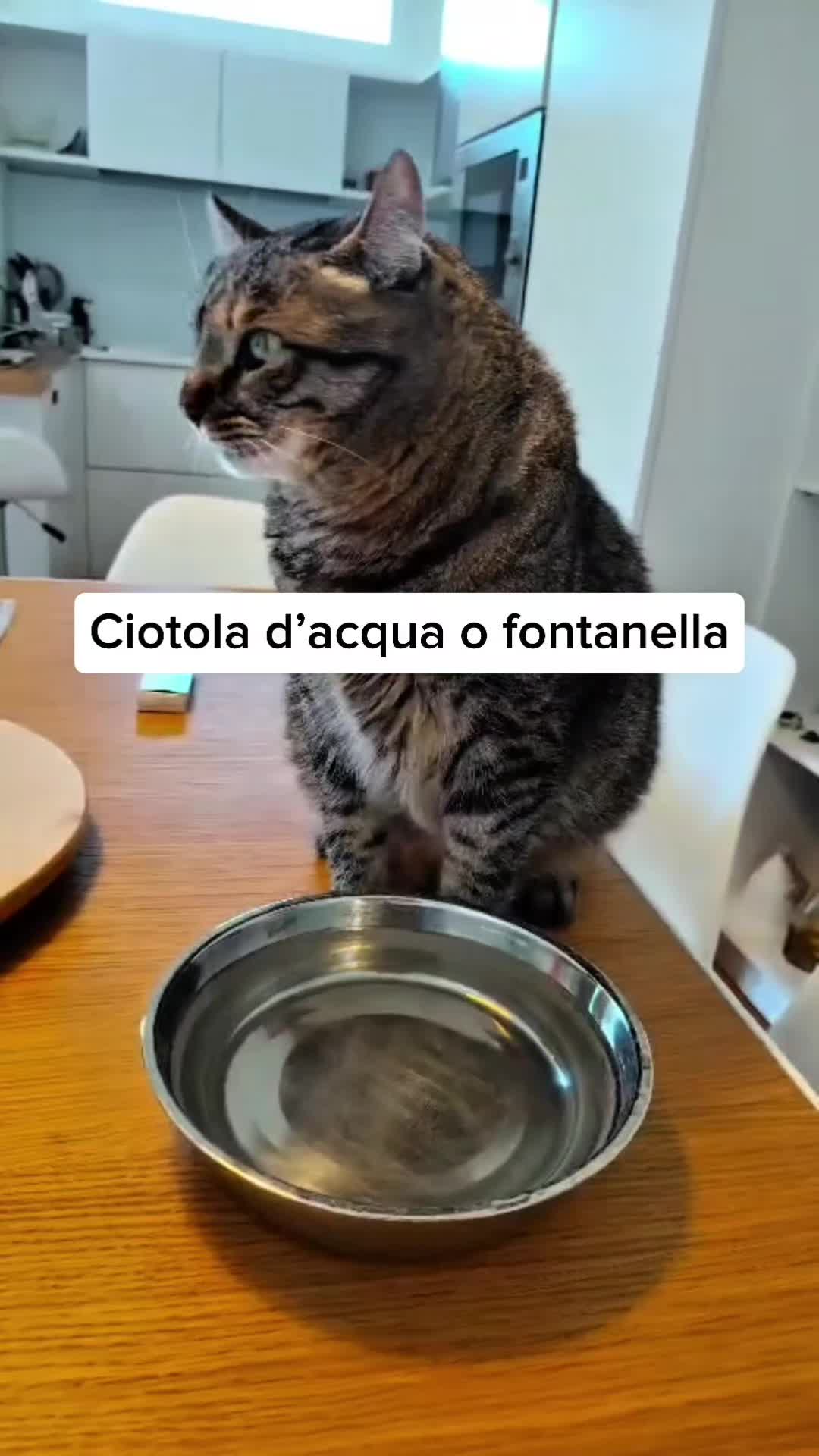 @Dr.ssa Sandra Viana