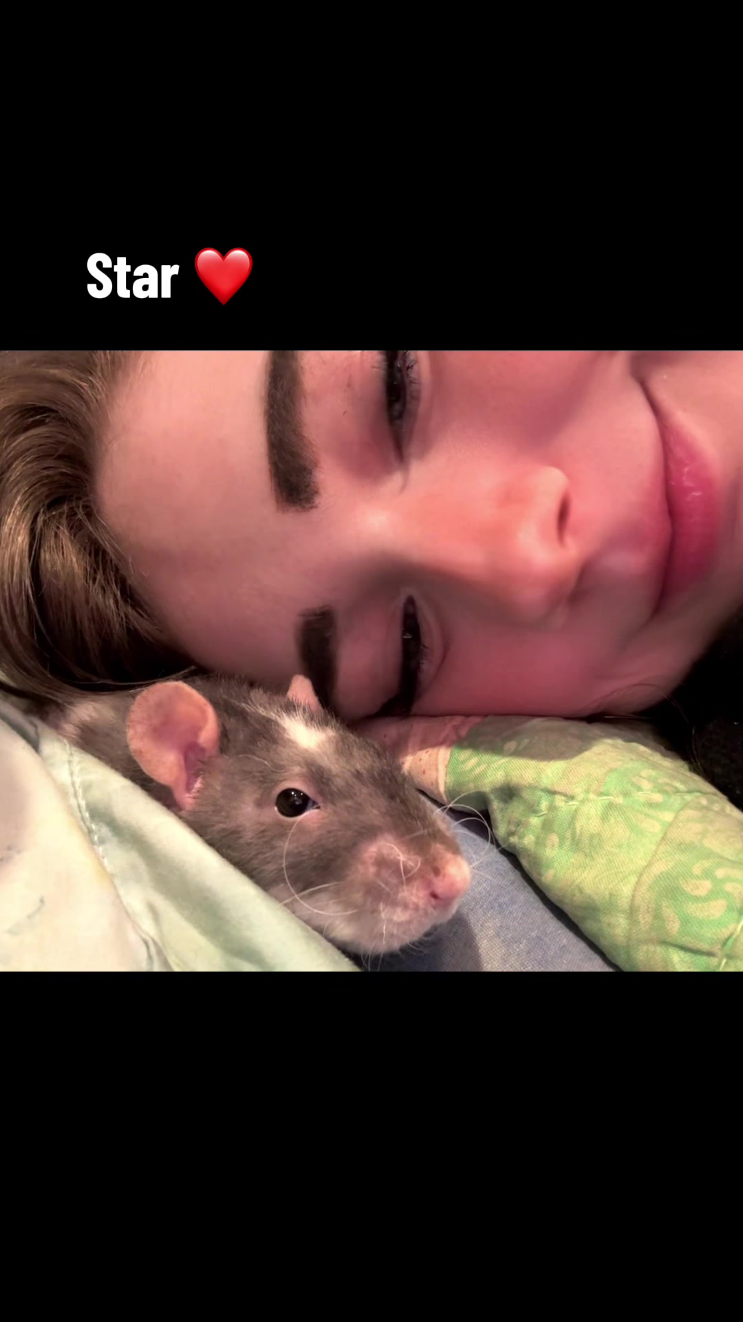 @lookatmyrodents