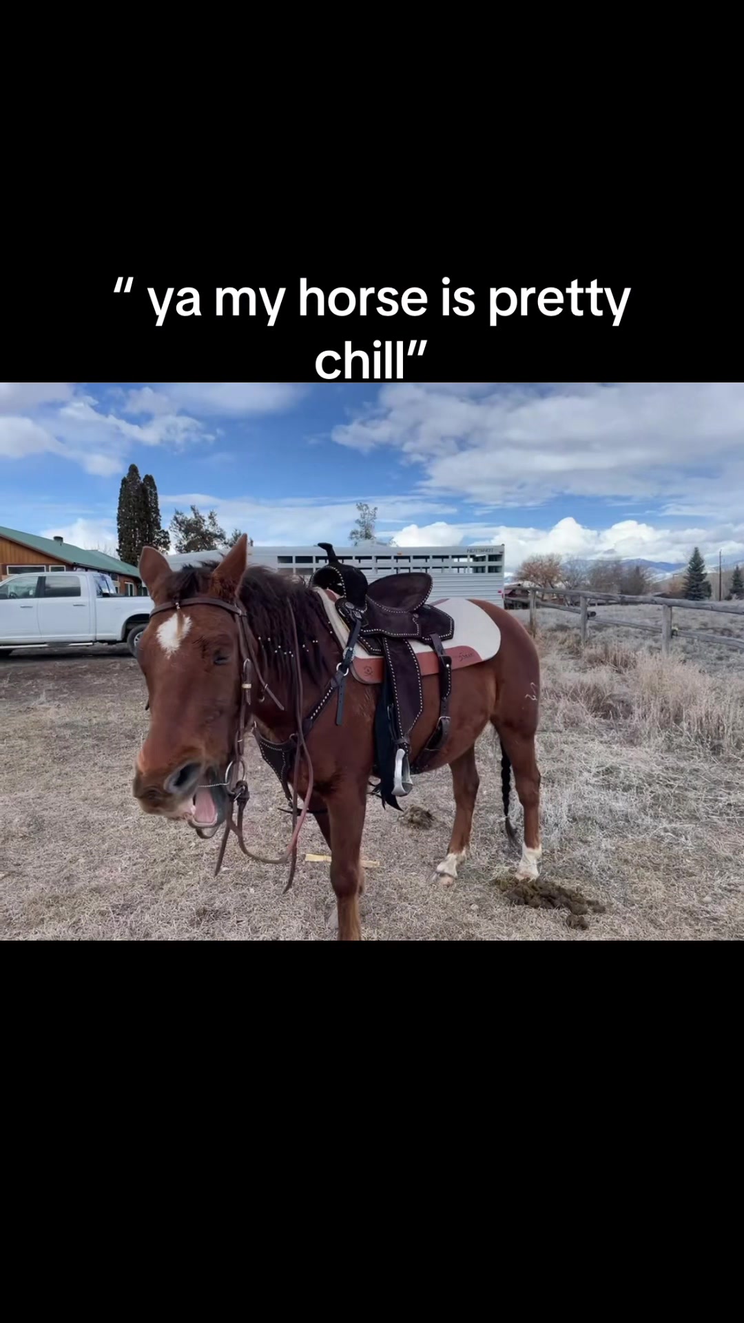 @KyleeMarie