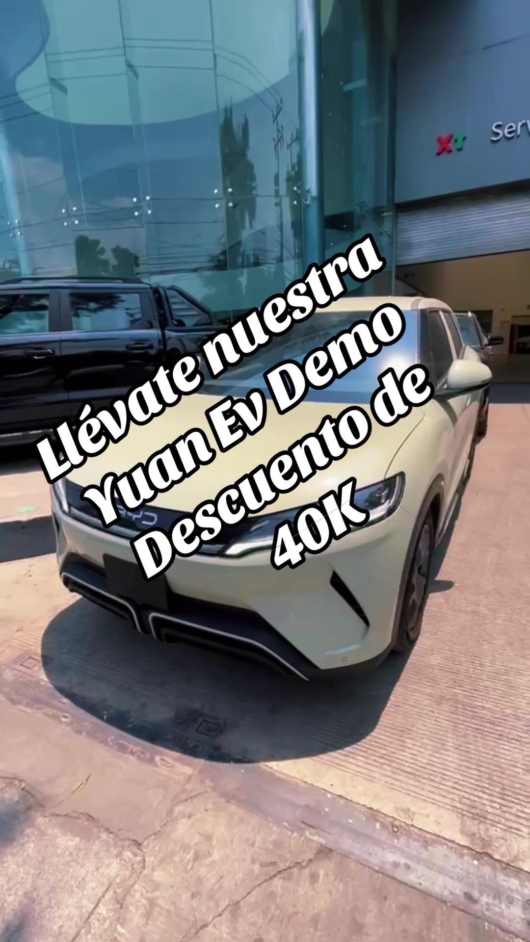 @El Rey de BYD