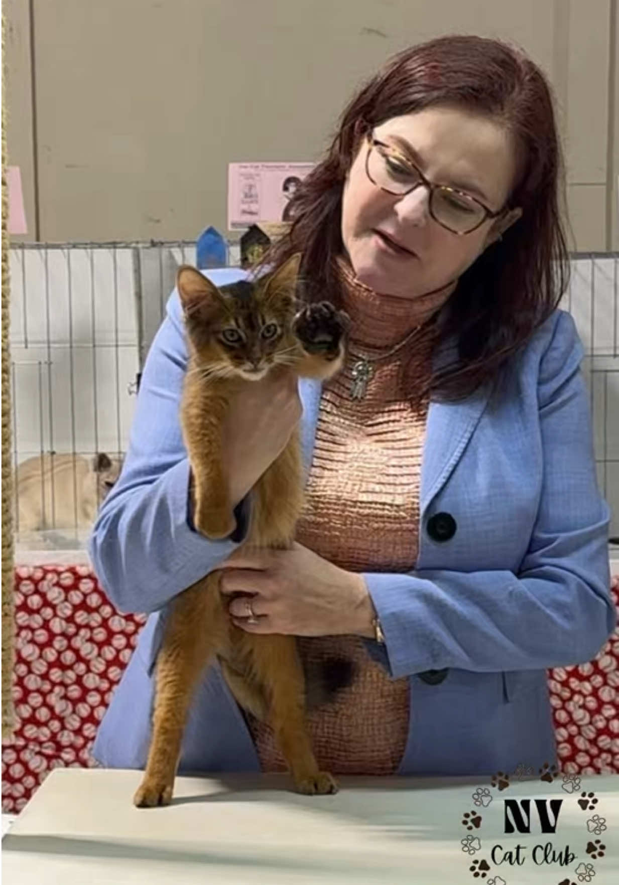 @NewVisionCatClub