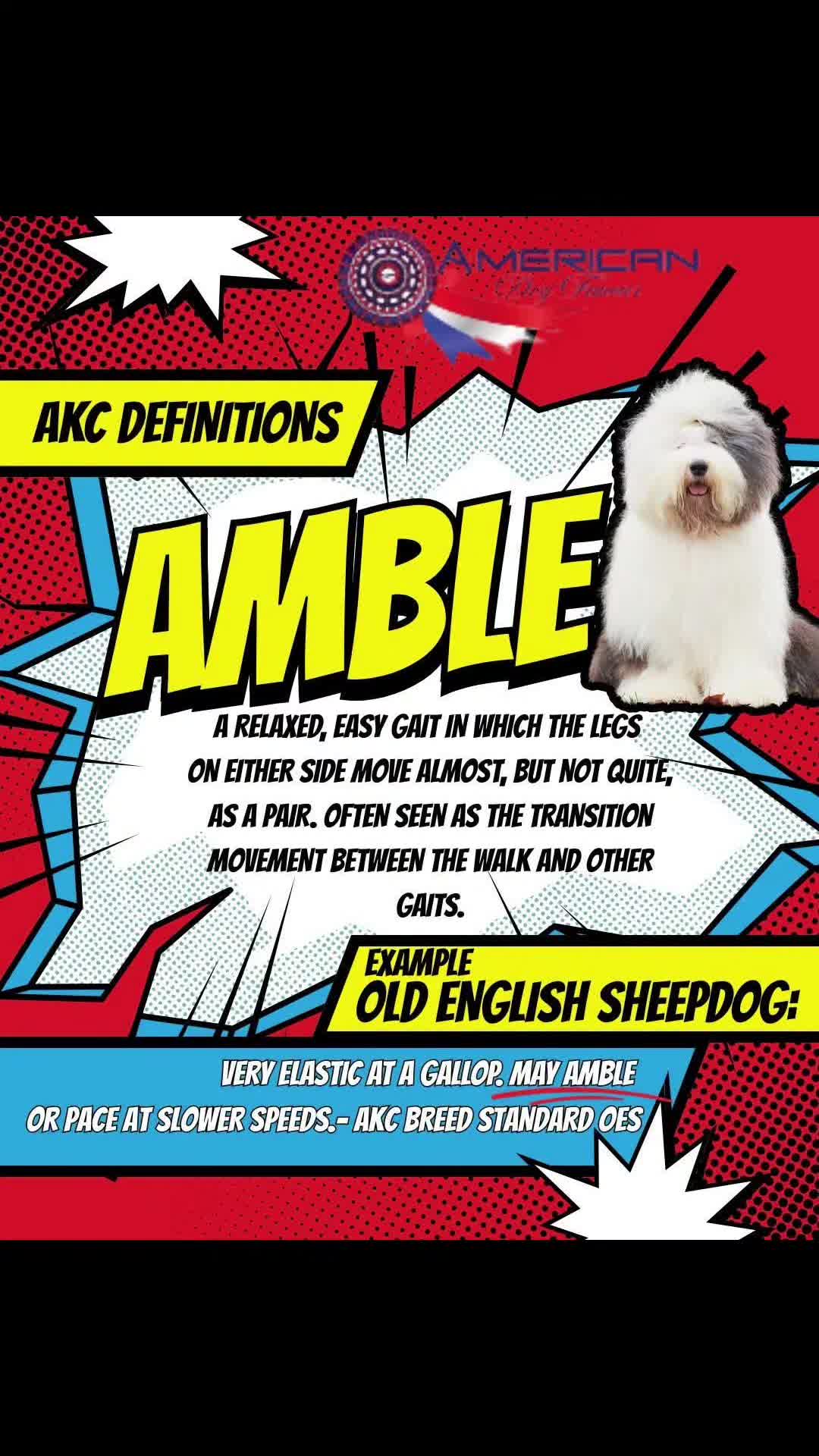 @American Dog Fancier