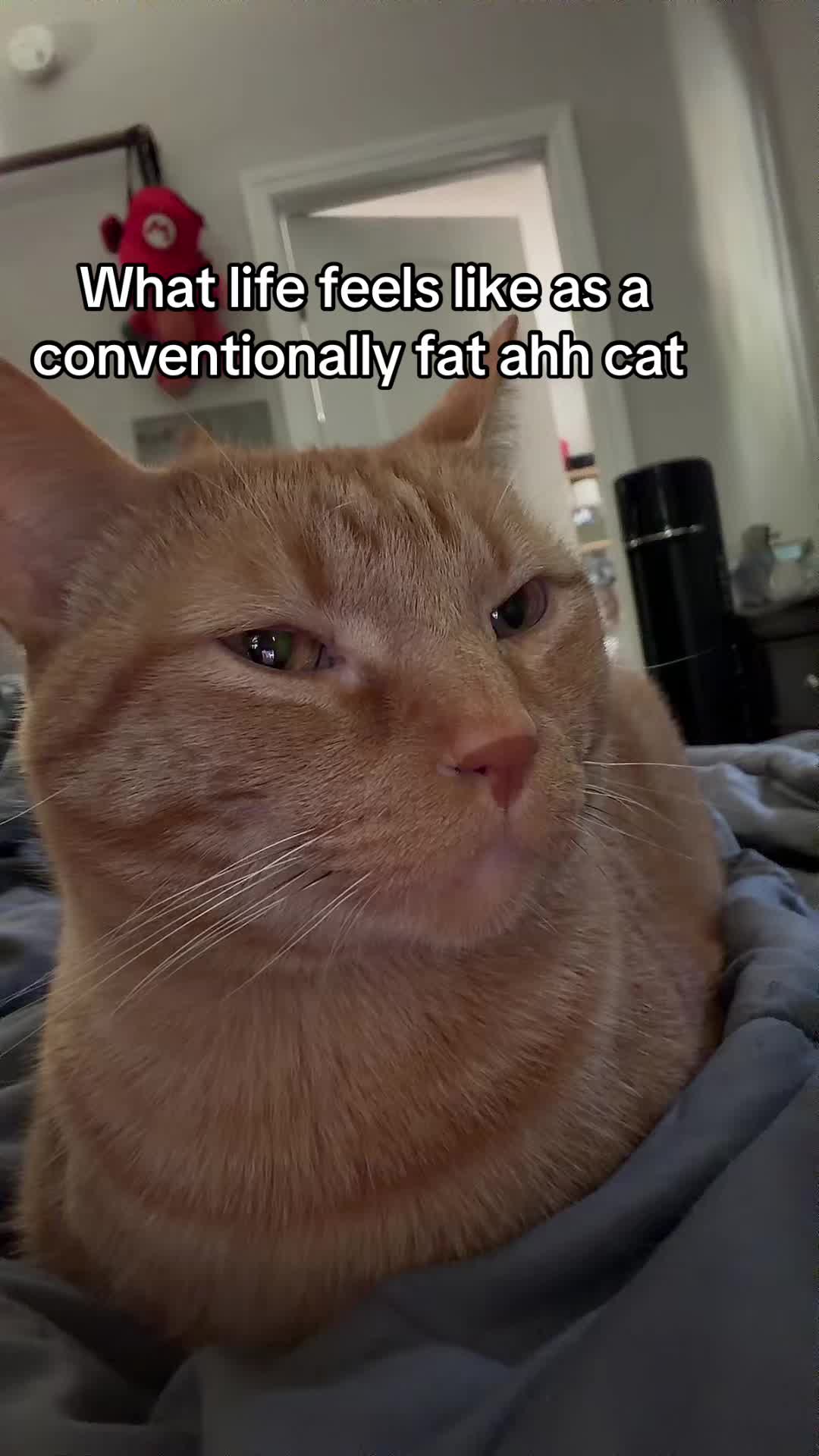 @Gothpimpbitcxh