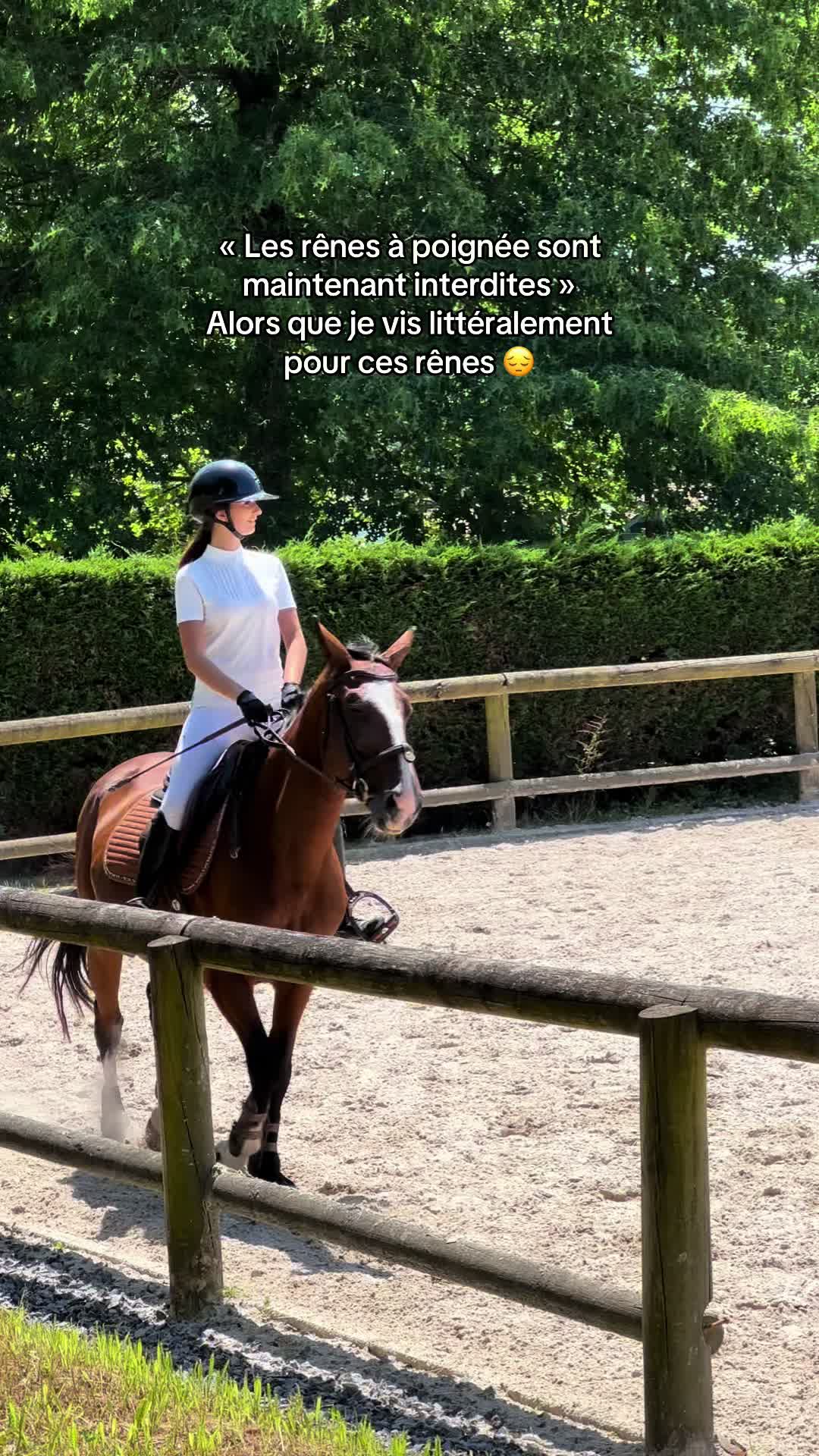@am._equit