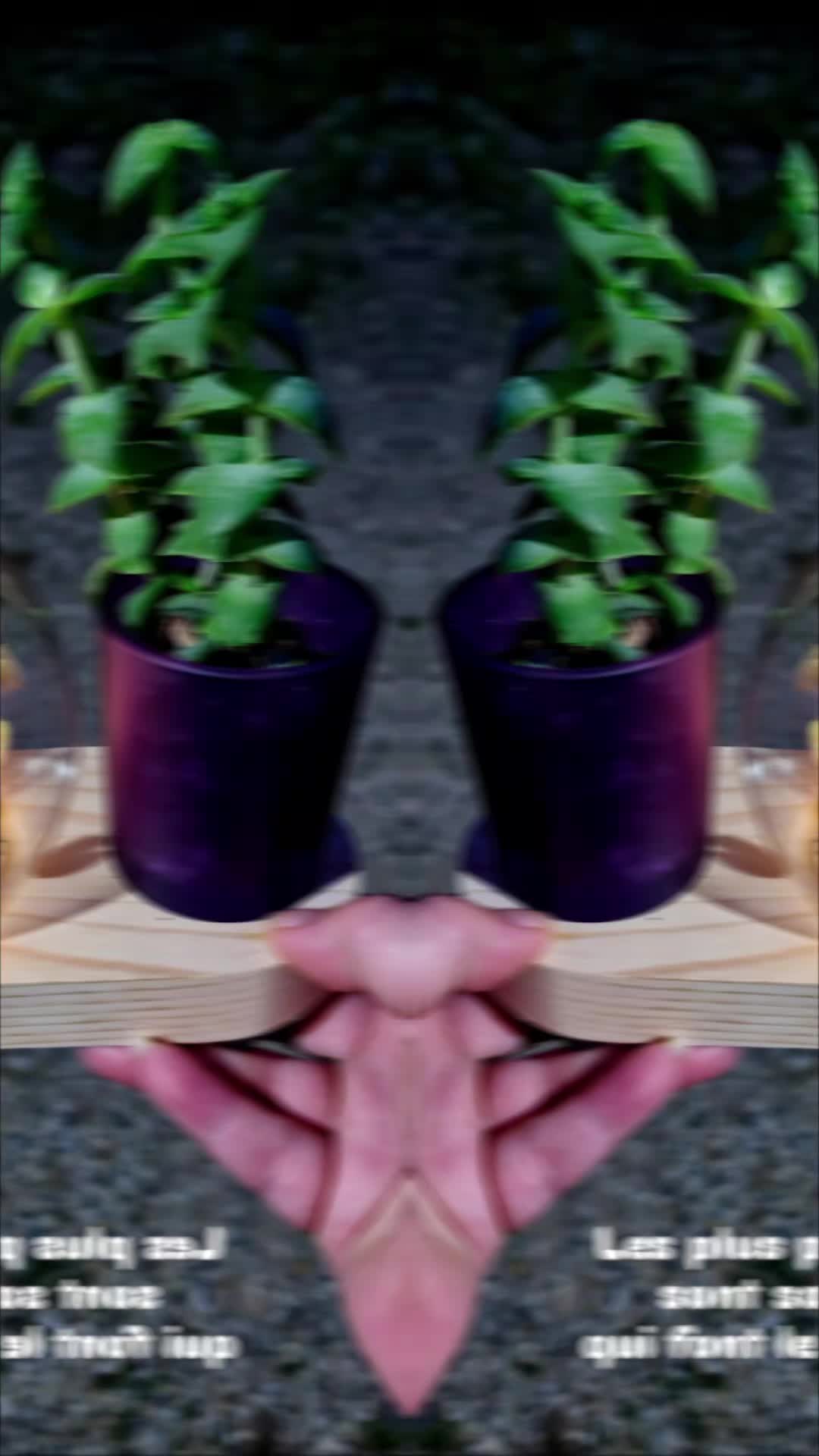@CARO 2.0