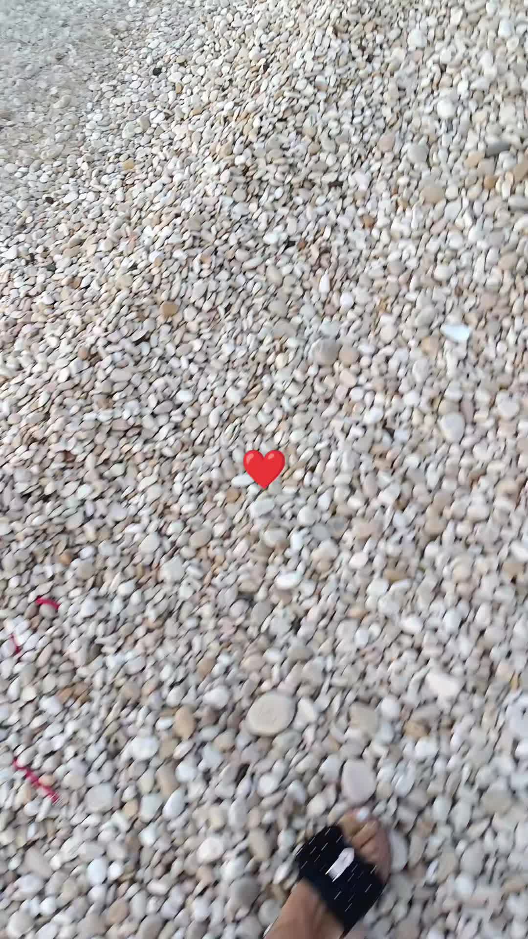 @luciamongelli225