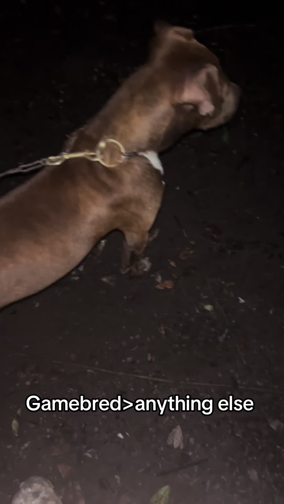 @kamwithapbt