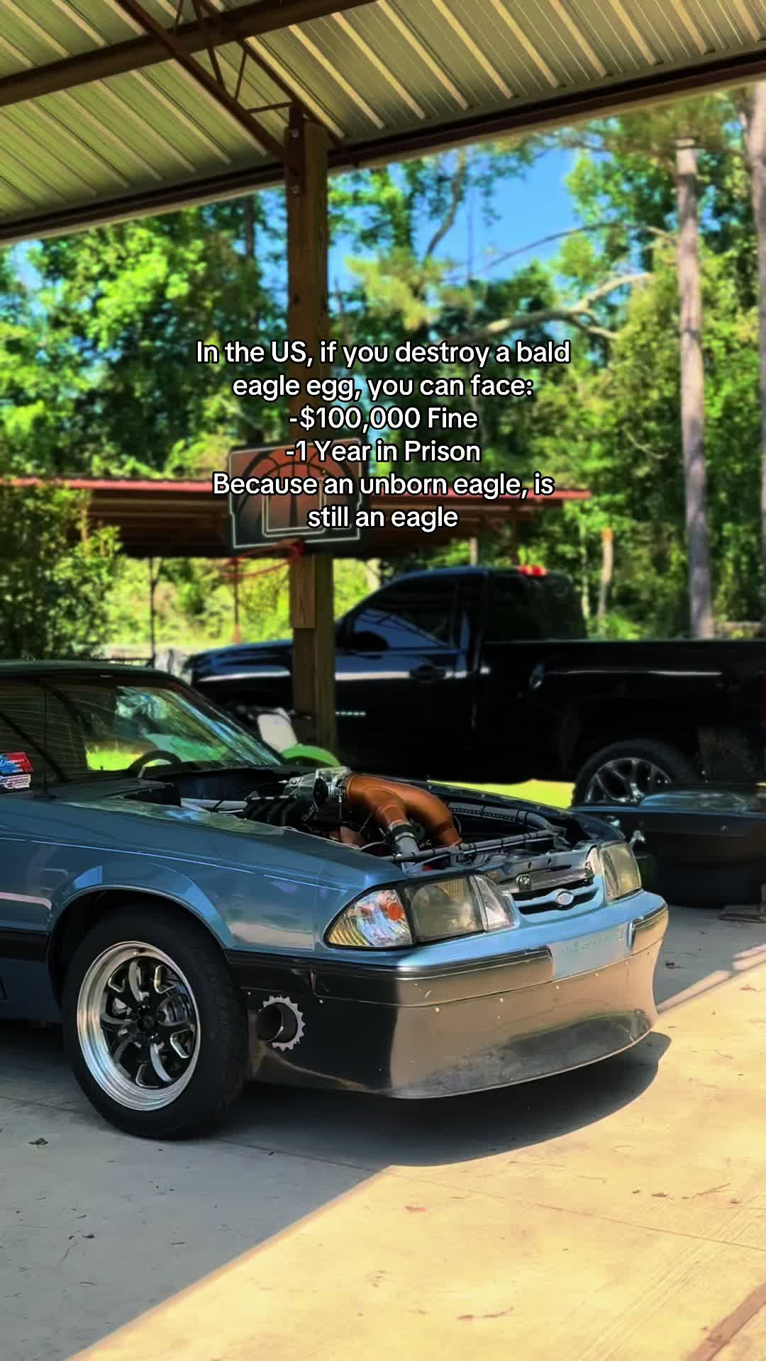 @Derwin™️〽️