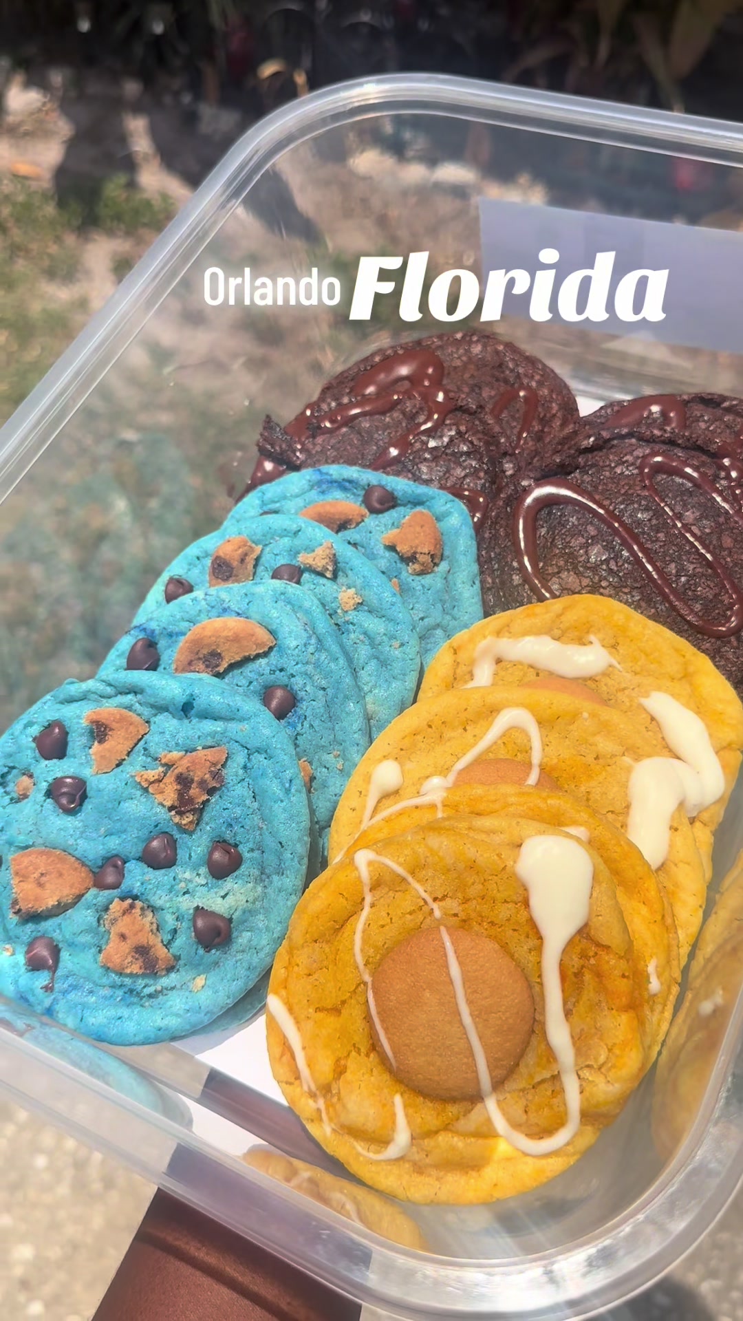 @Thegirlwitqookies