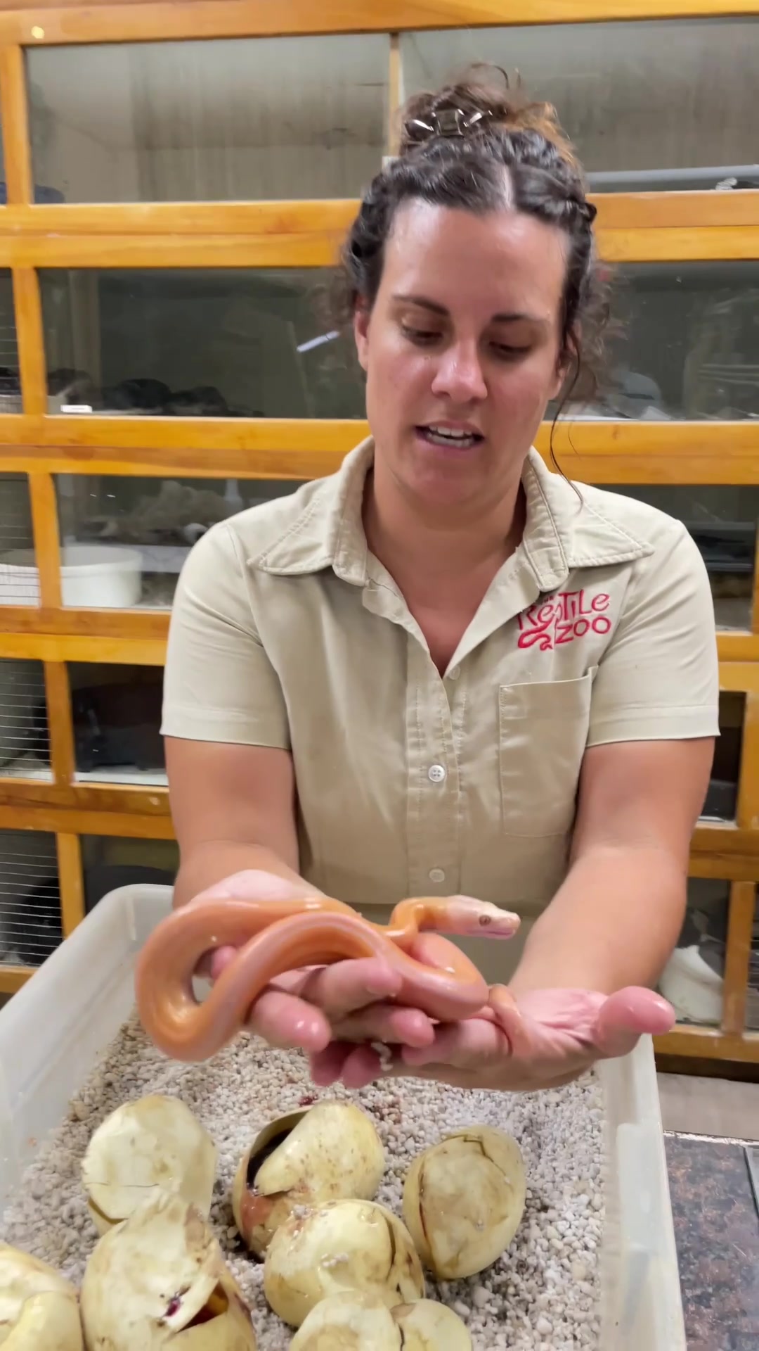 @The Reptile Zoo