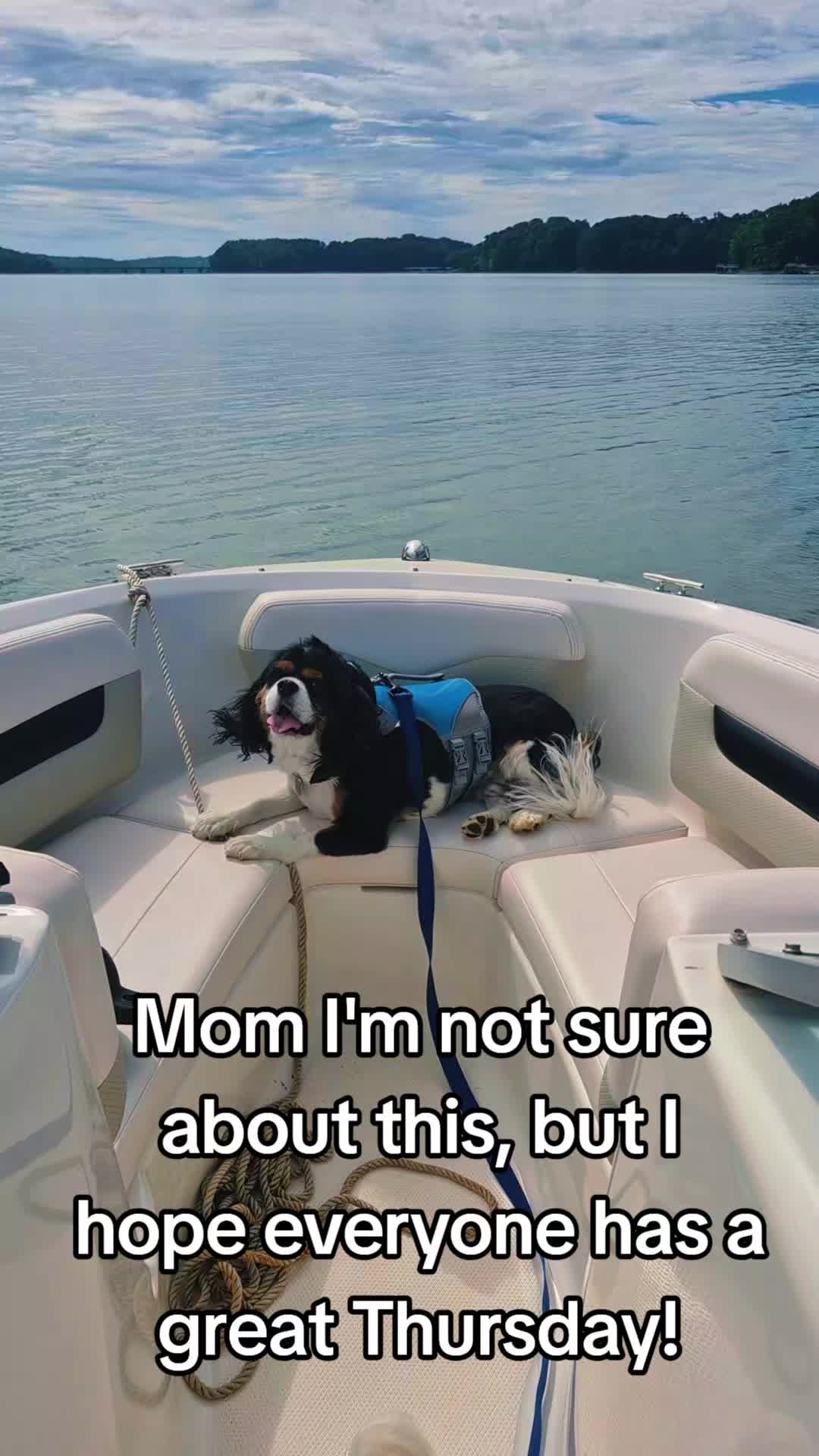 @Lisa@elevateyourlife