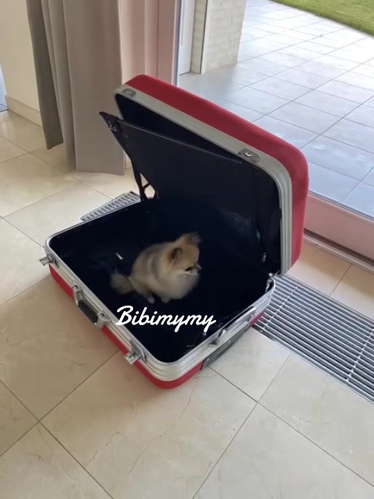@Bibimymy