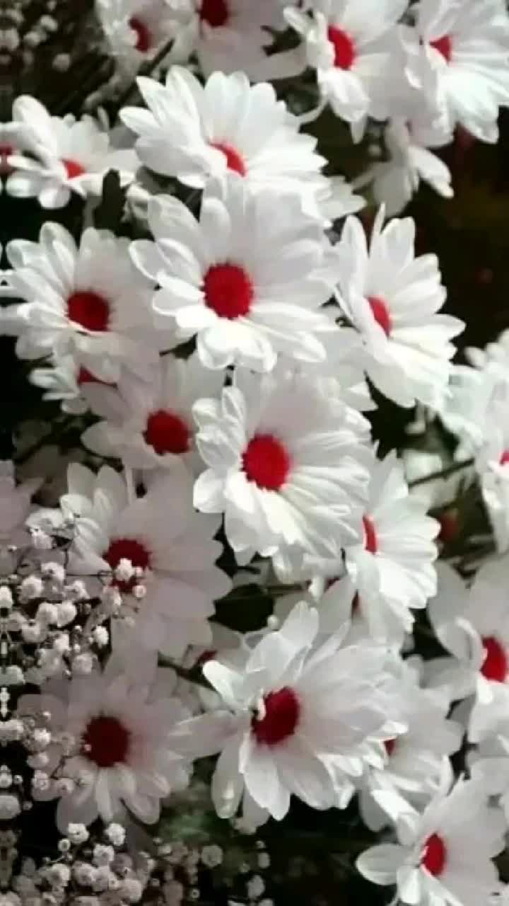 @Mukti Mahato