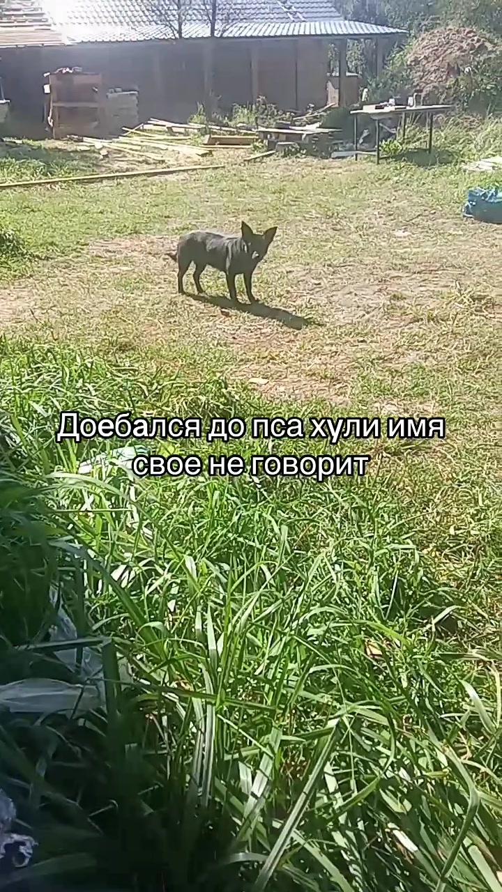 @Тгк: andreihuli