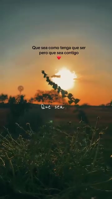 @Gris Morales 🌻🌻♥️