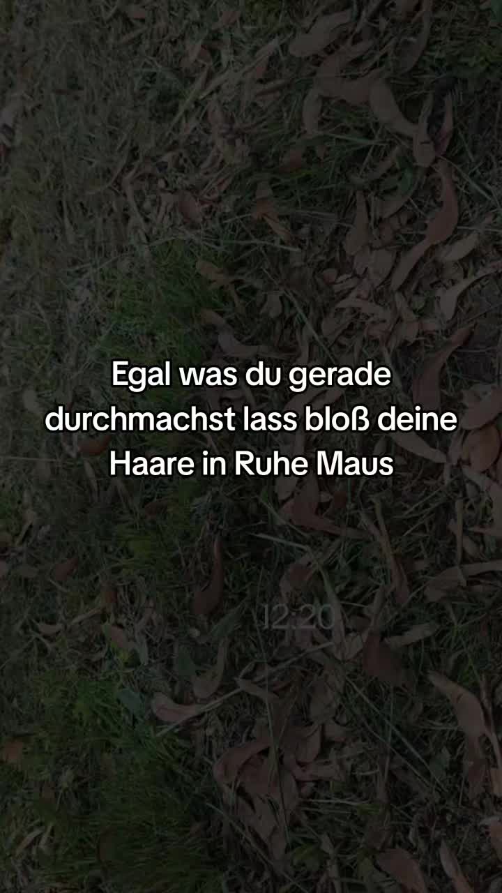 @Jonas🇩🇪✝️