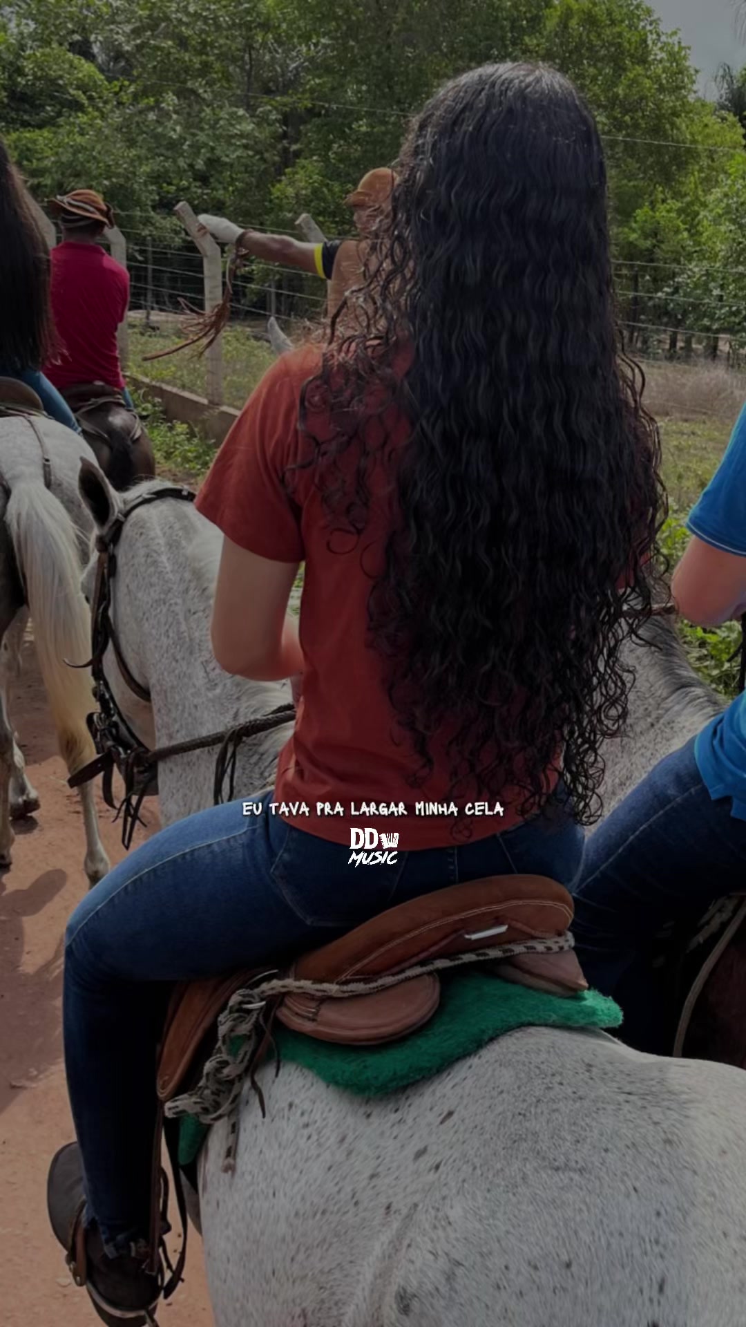 @laisafelix_