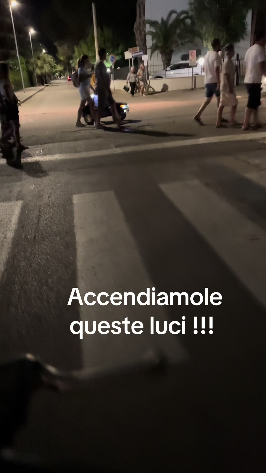 @Rita Infante