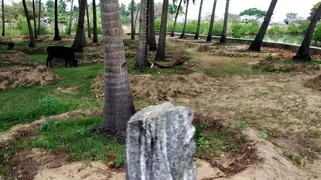 @saritha poojari
