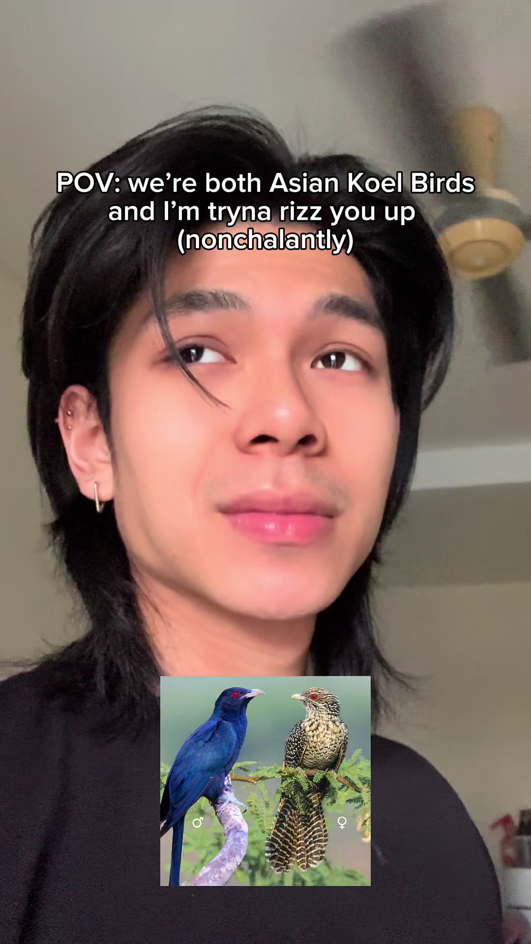@Zen