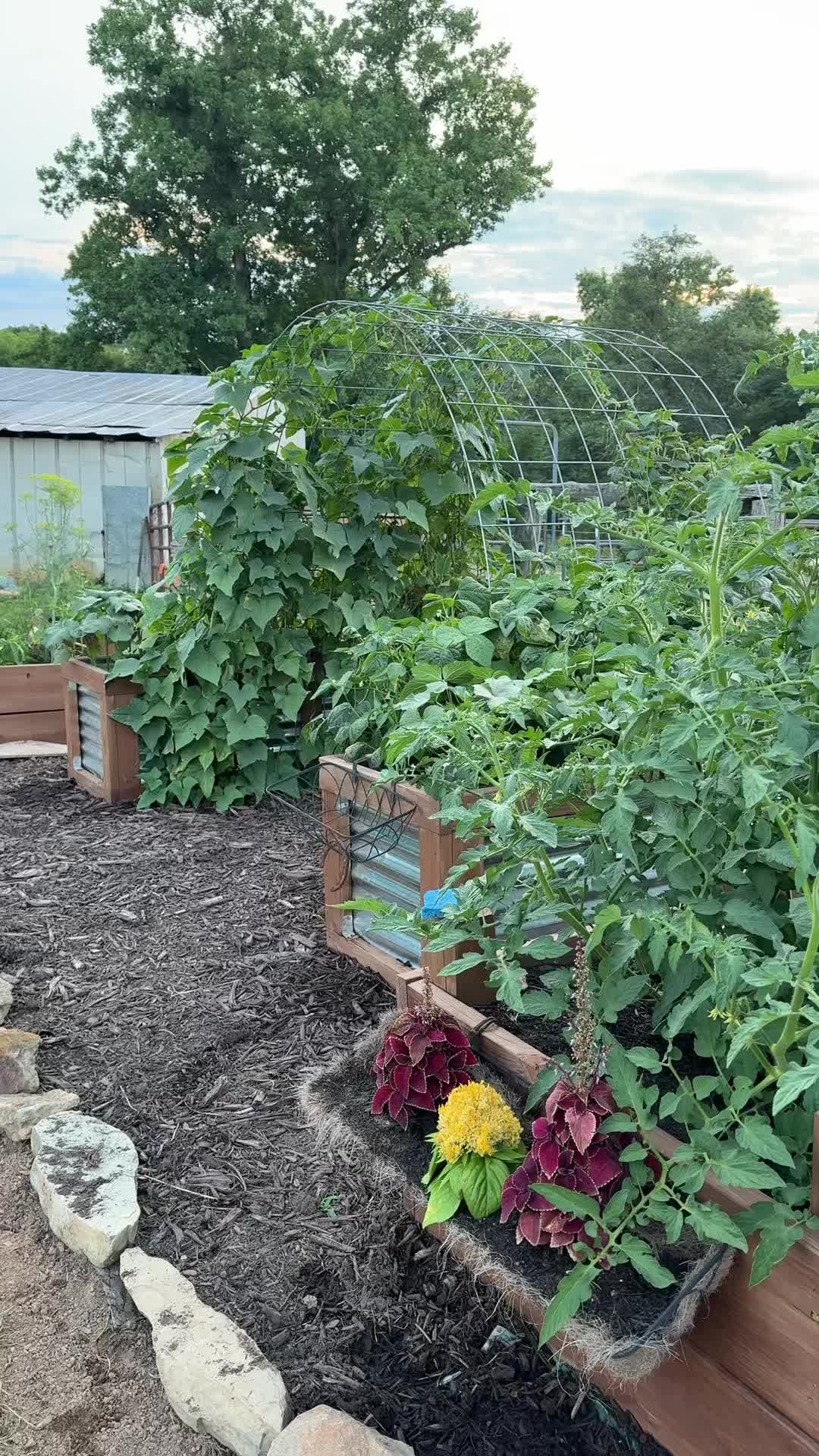 @jacksonridgefarm