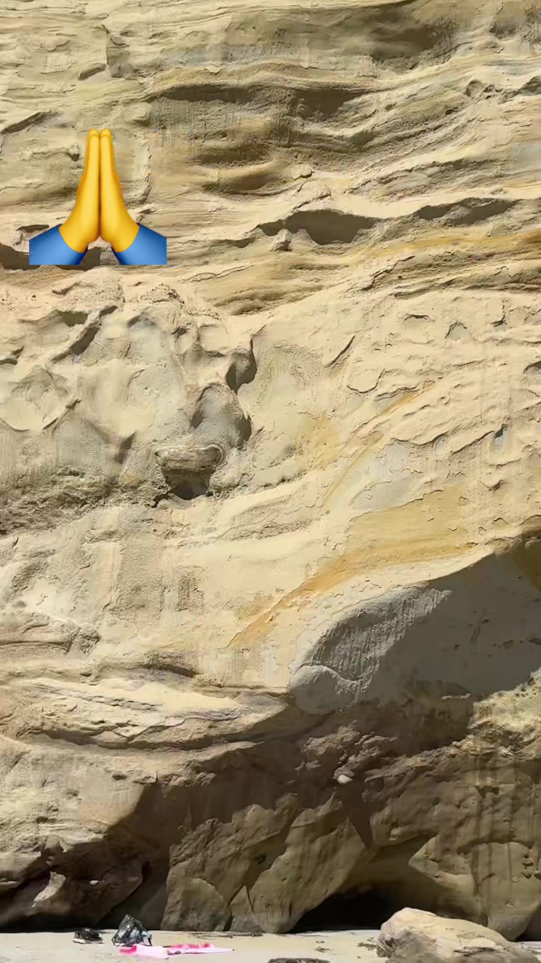 @floresfit1234