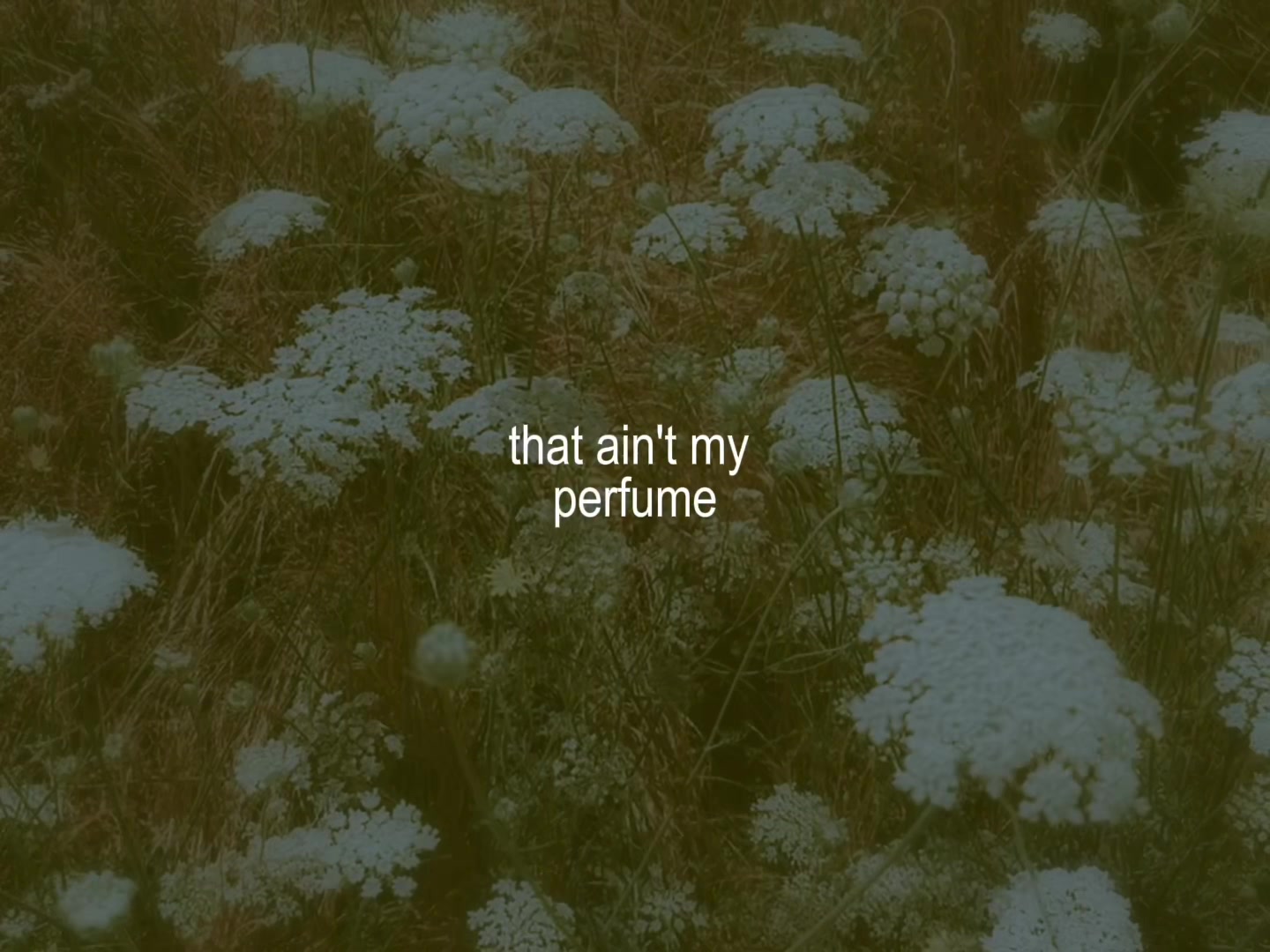 @Country Folk Intern