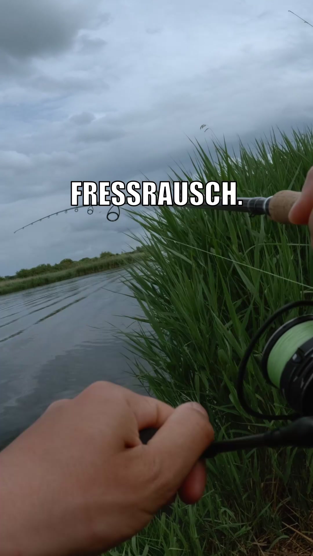 @Fischbulette