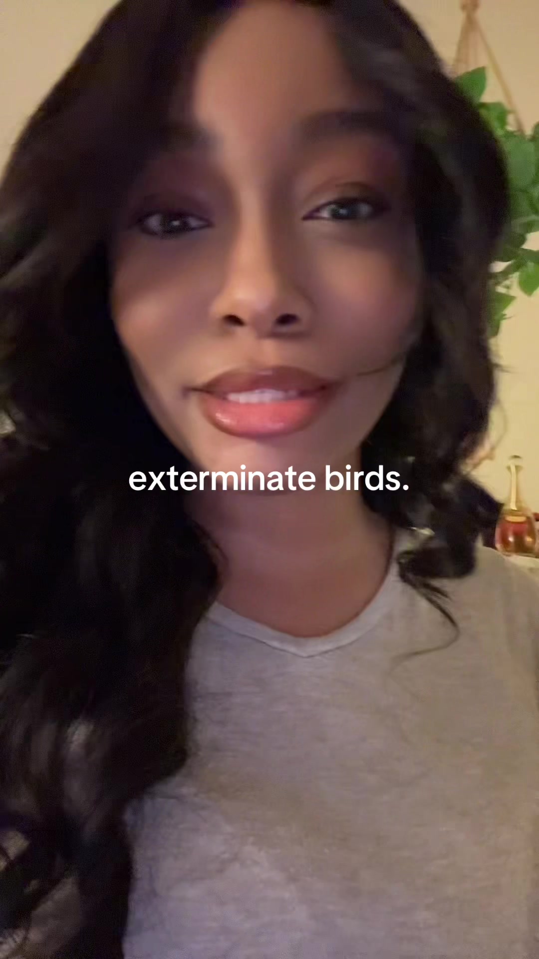@SHAY (world domination era)