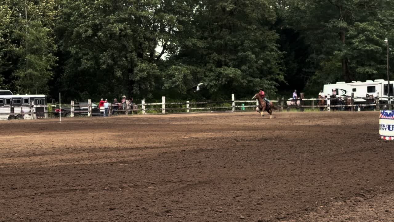 @TF Performance Horses