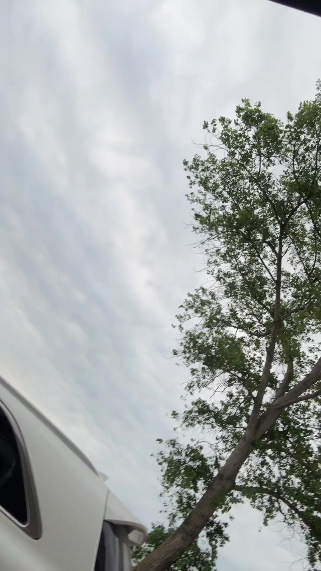 @KiKi