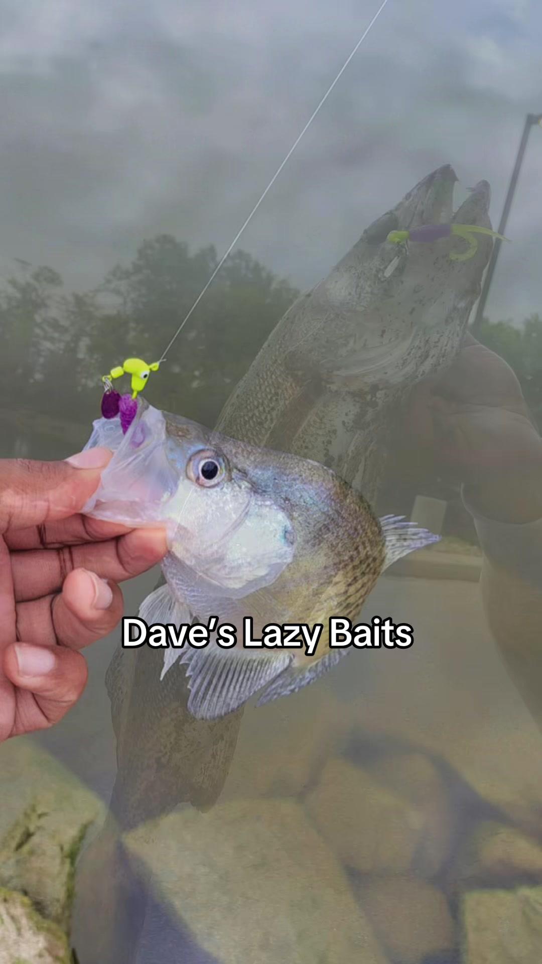 @Dave&rsquo;s Lazy Baits