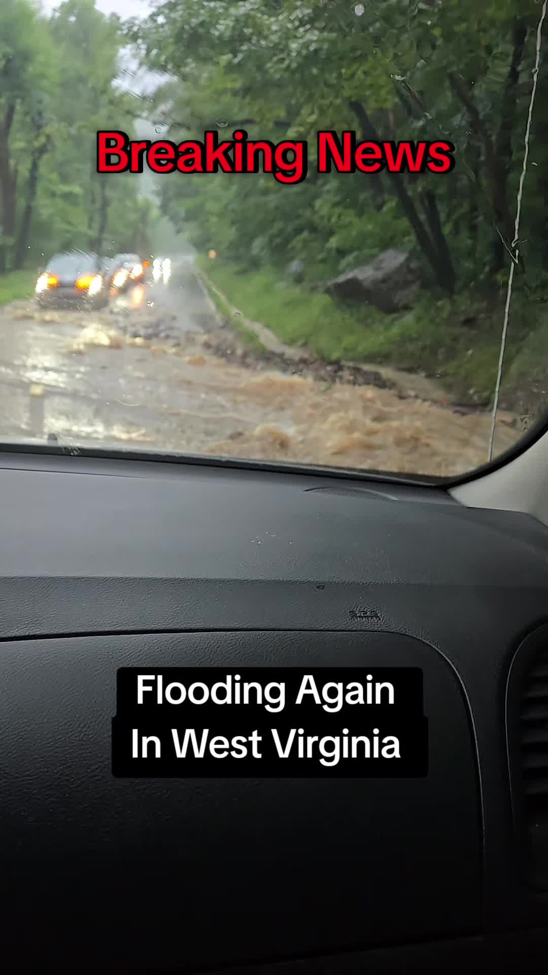 @EpilepticHomesteadMama