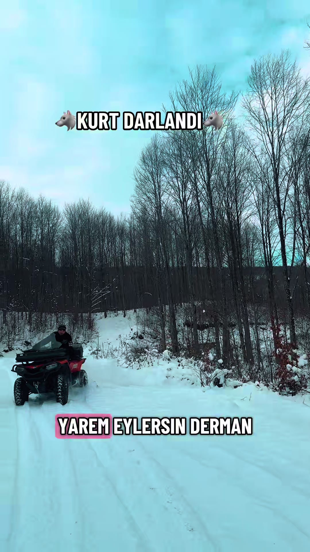@tuncayaydogan52