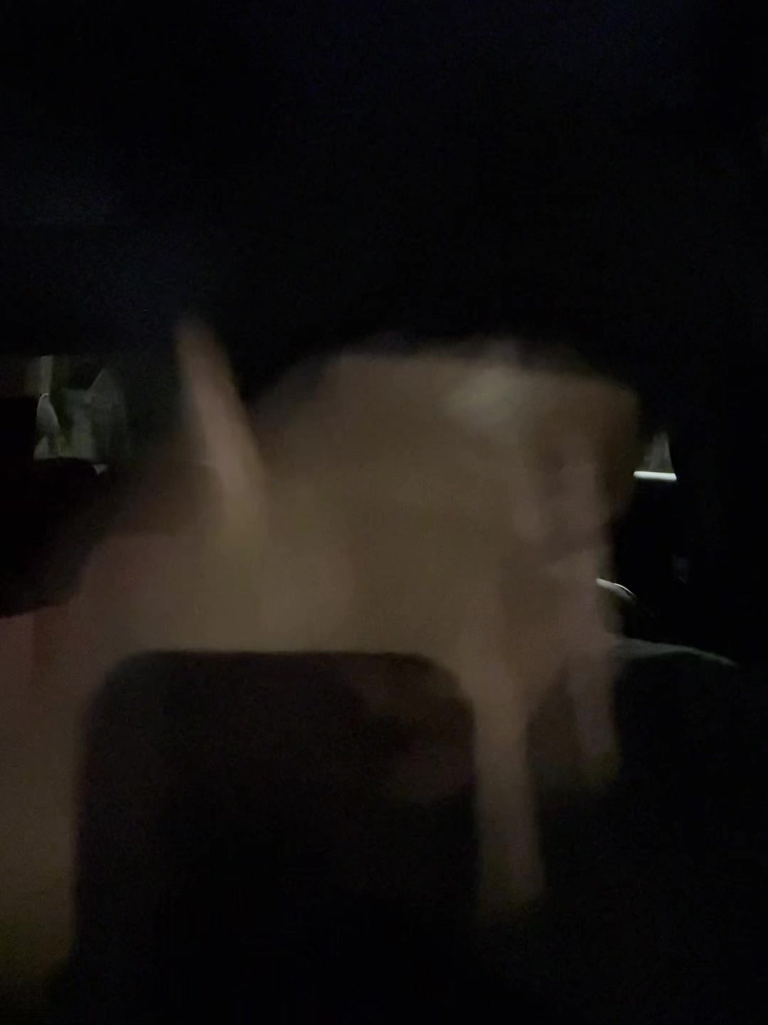@omallyyyyy