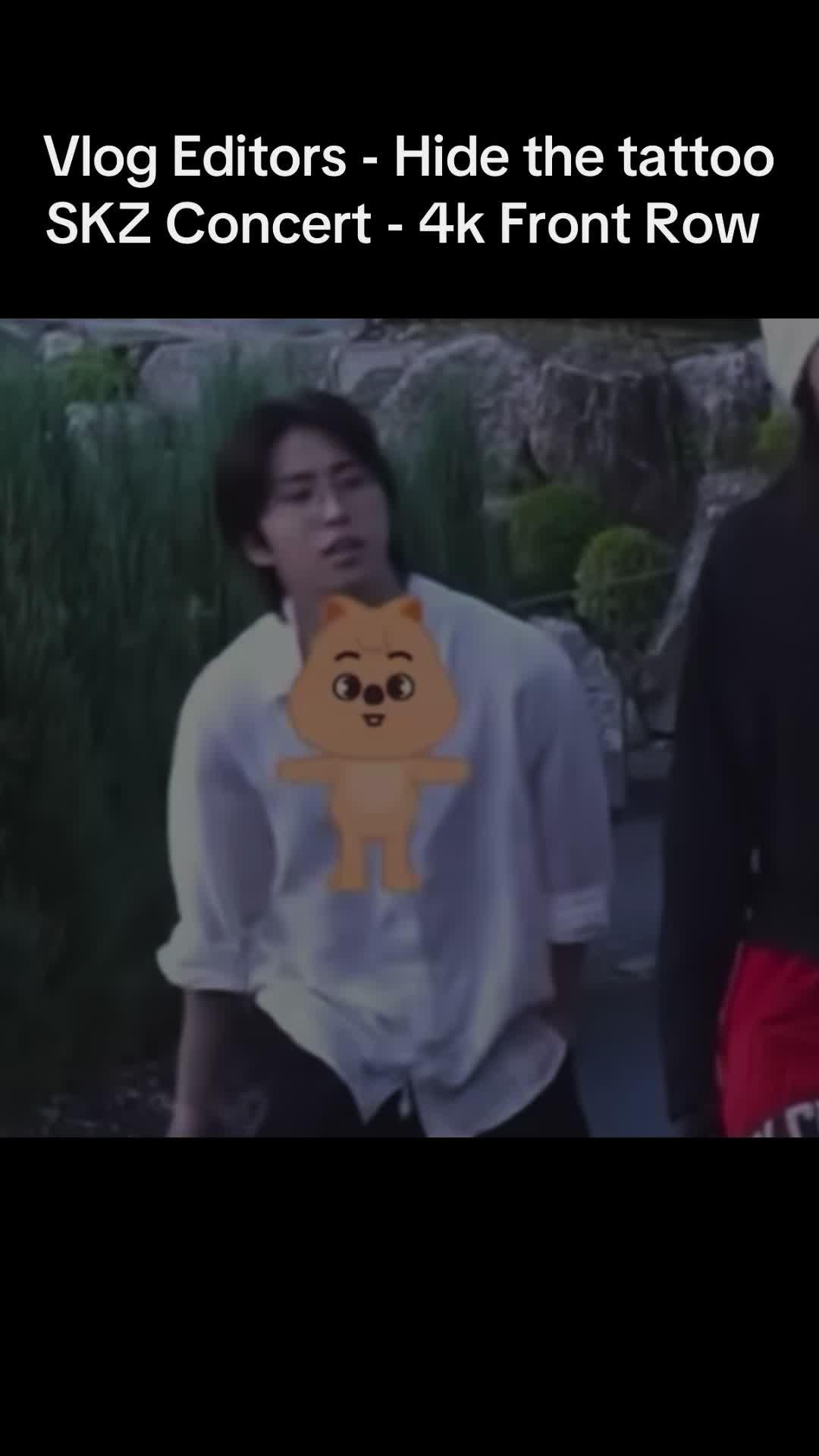 @KpopqueenMandy